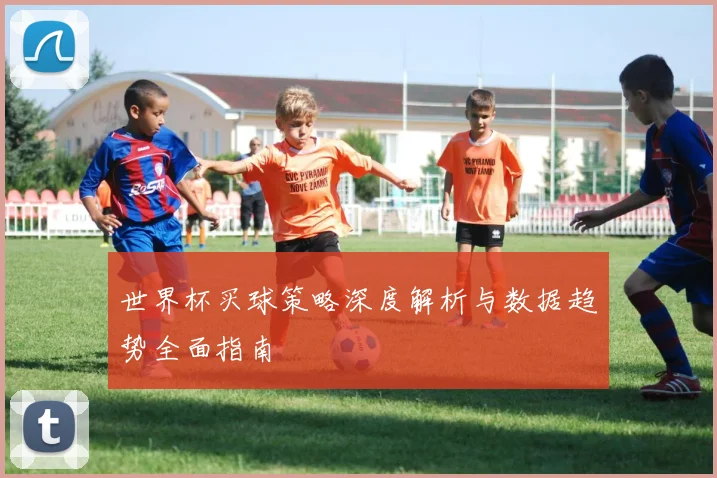 世界杯买球策略深度解析与数据趋势全面指南