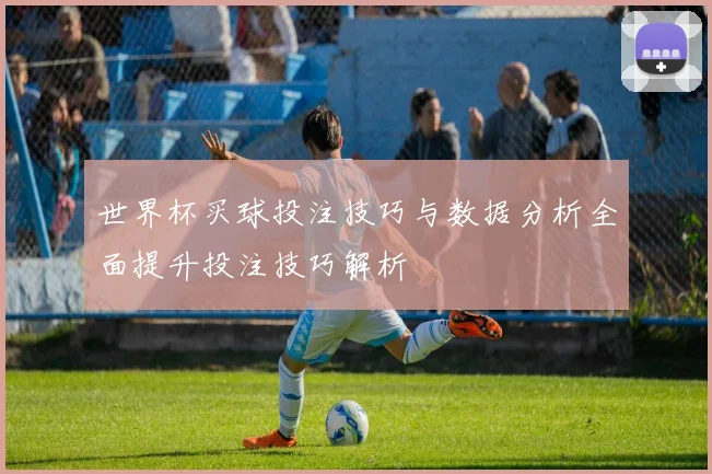 世界杯买球投注技巧与数据分析全面提升投注技巧解析