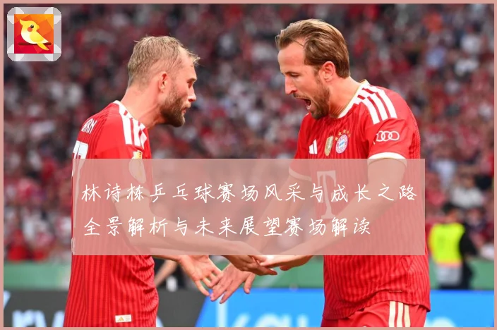 林诗栋乒乓球赛场风采与成长之路全景解析与未来展望赛场解读