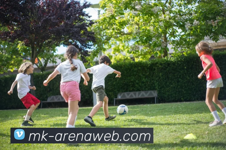 MK体育平台展示图